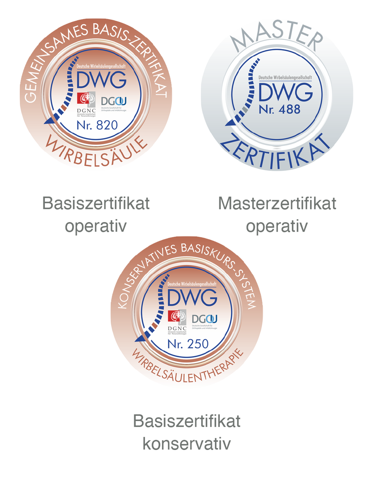 DWG Zertifikate DWG Basiszertifikat operativ, Masterzertifikat operativ, Basisertifikat konservativ, Wirbelsäulentherapie