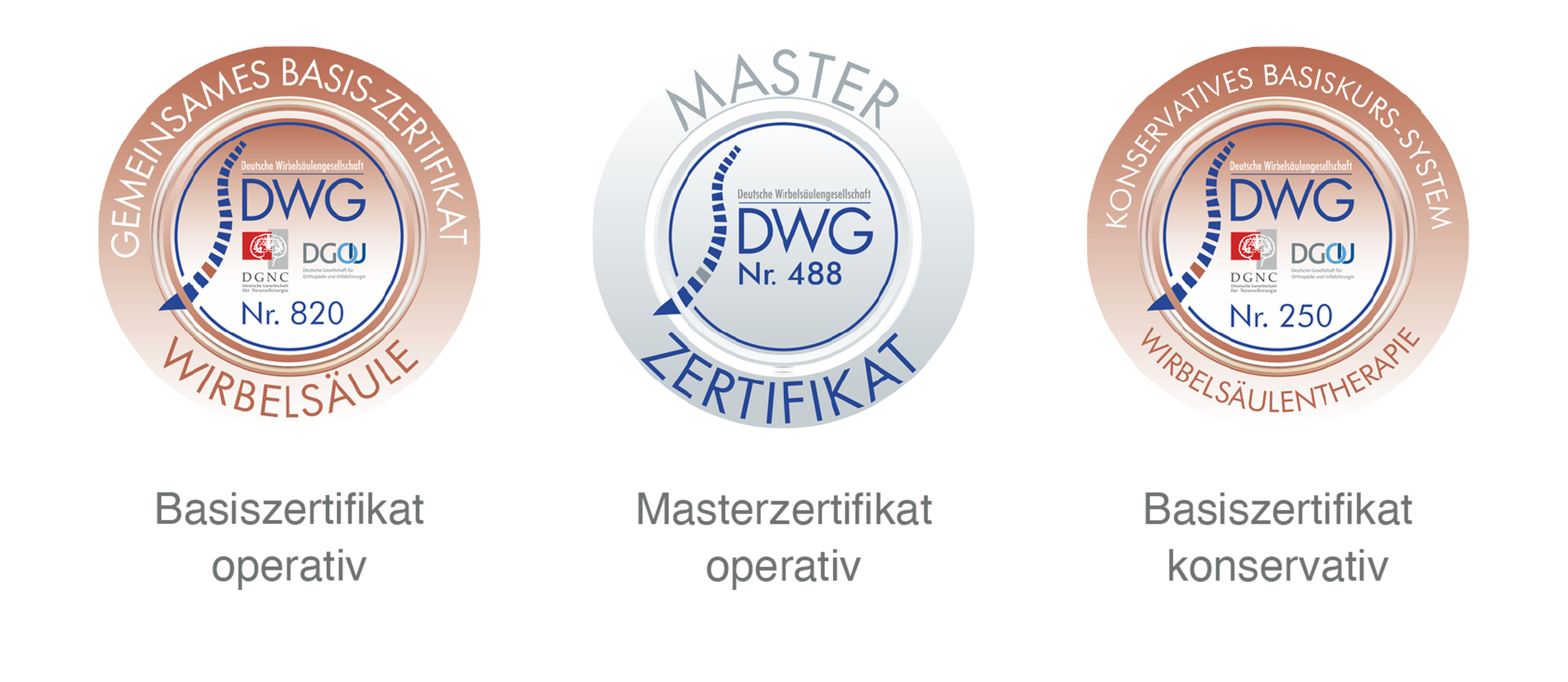 DWG Basiszertifikat operativ, Masterzertifikat operativ, Basisertifikat konservativ, Wirbelsäulentherapie